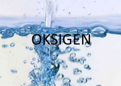 Oksigen Terlarut (DO)
