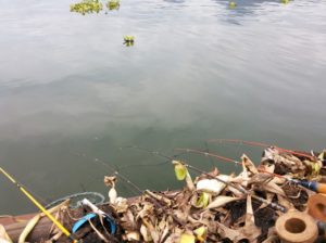 √7 Umpan Jitu Ikan Nila Liar di Danau dan Teknik Mancingnya!