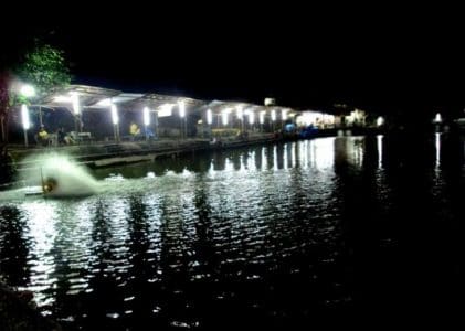 gambar [Ampuh] 6 Resep Umpan Jitu Galatama Ikan Mas di Malam Hari Selalu Strike!!!