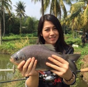 Umpan Jitu Ikan Bawal Harian Terbaru