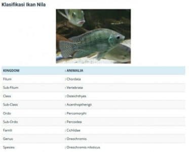 Klasifikasi Ikan