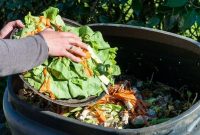 Cara Membuat Pupuk Kompos Dari Sampah Rumah Tangga