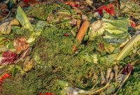 Jenis Sayuran Sebagai Bahan Pembuatan Pupuk Kompos Cair
