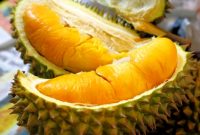 Tips Cara Menanam Durian Bawor yang Baik dan Benar!!